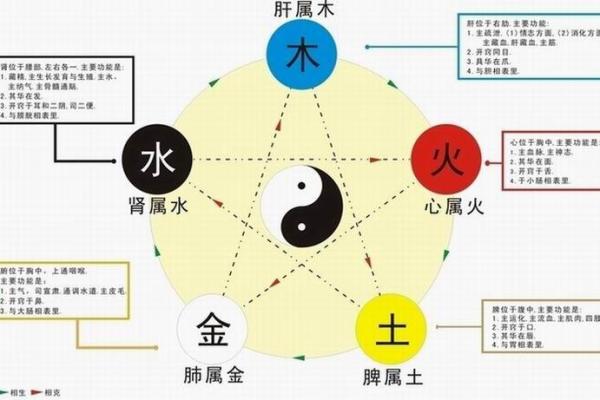 能字五行属木、火、土还是金、水