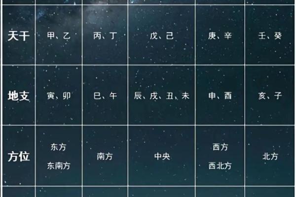 能字五行属木、火、土还是金、水