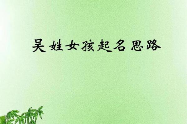精美吴姓女宝宝名字推荐