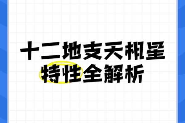 子夜星辉，揭秘十二地支中的神秘力量