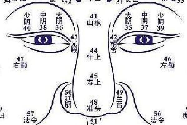 一痣定终身？麻衣神相带你解读美人痣奥秘