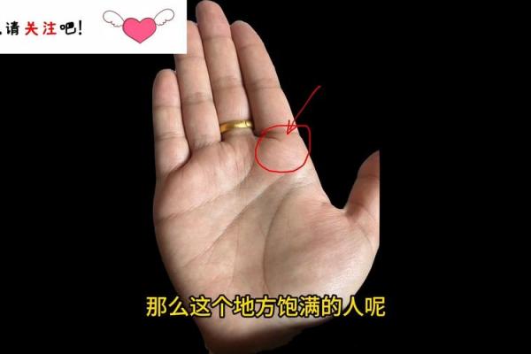 手相面相痣相全解析，让你一眼看穿命运之谜