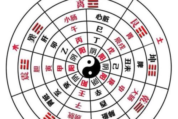 地支藏干与五行：揭秘五行相生相克背后的秘密