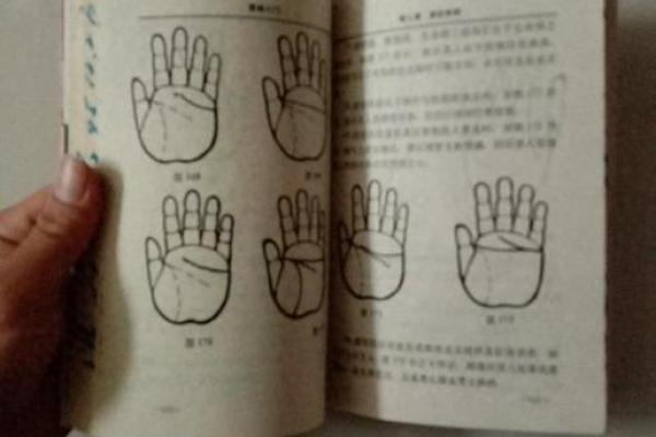 解锁命运密码：揭秘手相学的神奇原理