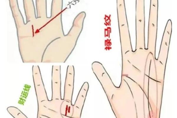 天地人三才手相秘籍