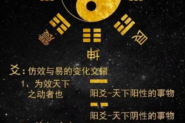 易经风水学全解析 视频全集带你走进古老智慧