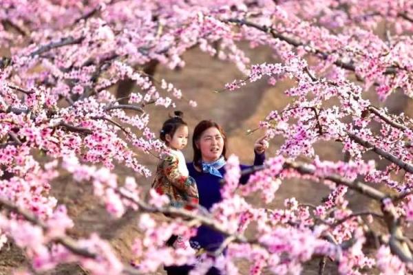 三月三，踏青赏花民俗韵