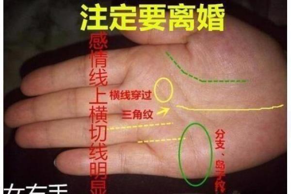 闪婚手相揭秘：婚姻的缘分一眼便知