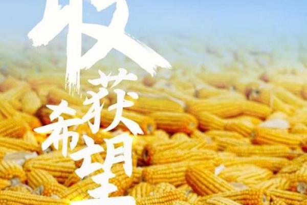 金秋十月，丰收节庆：揭秘10月28日的民俗风情