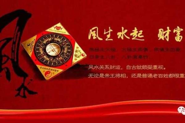 西南风水宝地，电视新家位