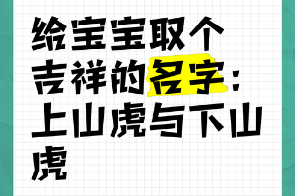 胡宝宝起名攻略：创意与吉祥并重的名字推荐