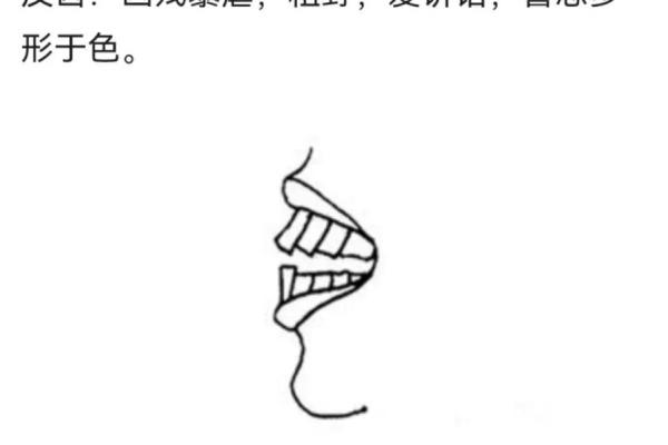 齿如榴面相：命运之神的秘密印记