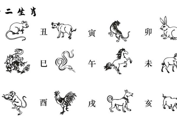 阴阳五行藏地支，揭秘十二生肖运势密码