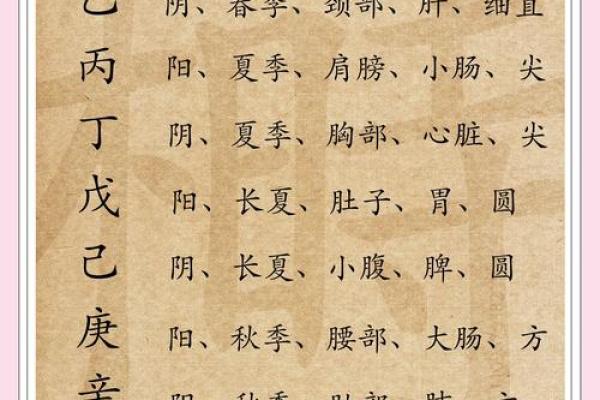 阴阳五行藏地支，揭秘十二生肖运势密码