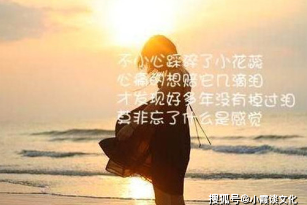 办公室风水之谜：为何有人哭得如此伤心？