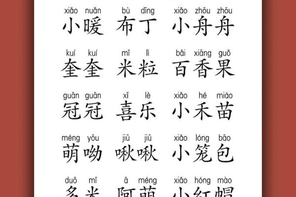 龙儿子的名字背后蕴藏的深刻含义