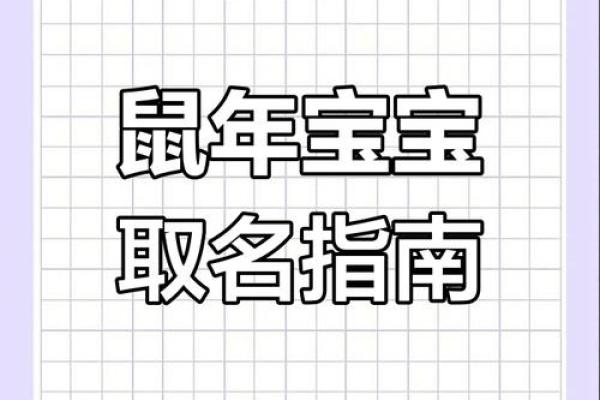 鼠年宝宝，灵巧好动的名字推荐