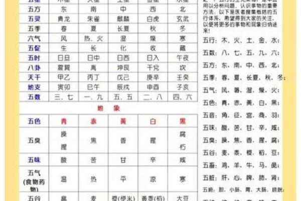 辰五行与命理运势的深度解析