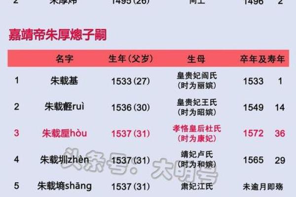 深入分析翊五行的五行属性