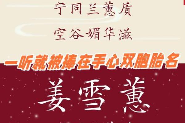 双胞胎马宝宝命名灵感