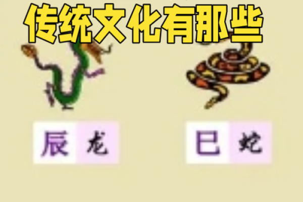 探寻中国八大文化区域的传统文化魅力