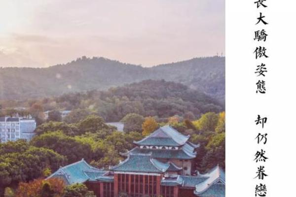 蒋多：文雅秀气，前程似锦——解析多才多艺的运势密码