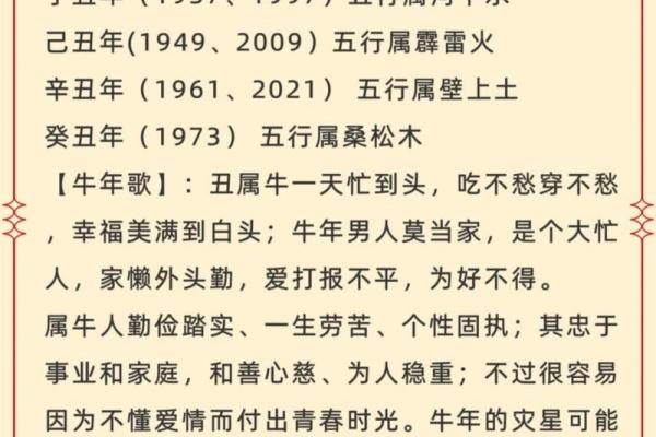 生肖猪的五行属性解析