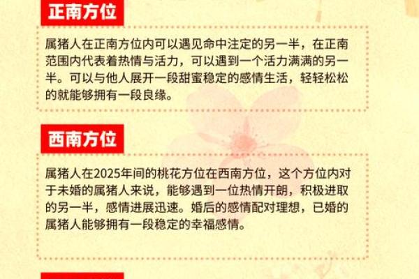 生肖猪的五行属性解析