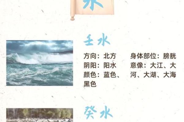 珺五行：探索古老五行智慧的现代应用