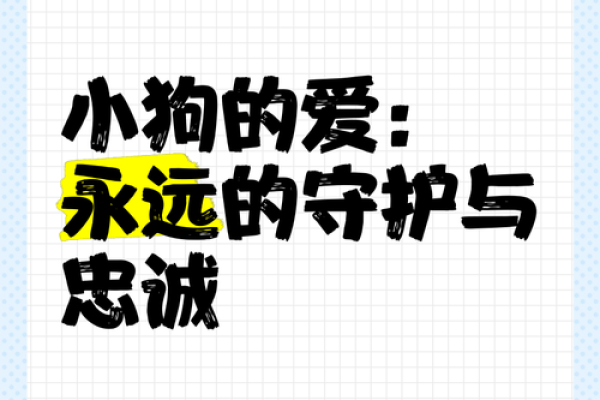 狗属相与民间信仰：传统文化中的忠诚与守护