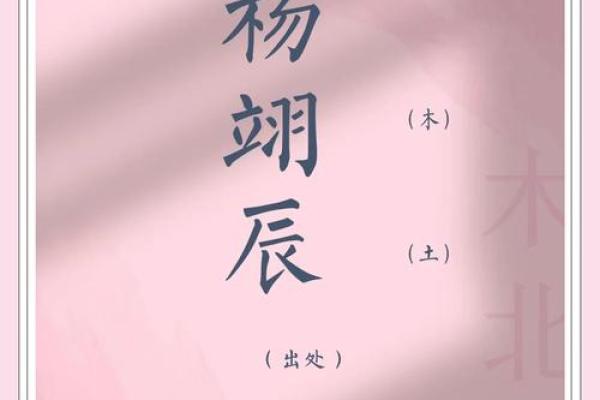 最受欢迎的杨姓男孩名字，简单又富有寓意