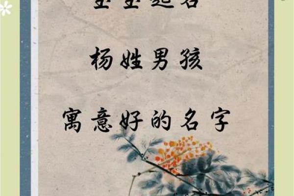 最受欢迎的杨姓男孩名字，简单又富有寓意