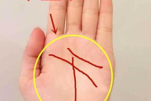 掌中富贵现，手相揭示的人生赢家