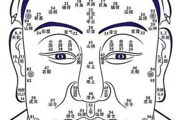 面相解析：色彩斑斓的人间百态