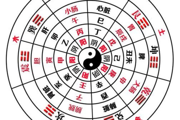天干地支五行：探寻古代智慧的秘密通道