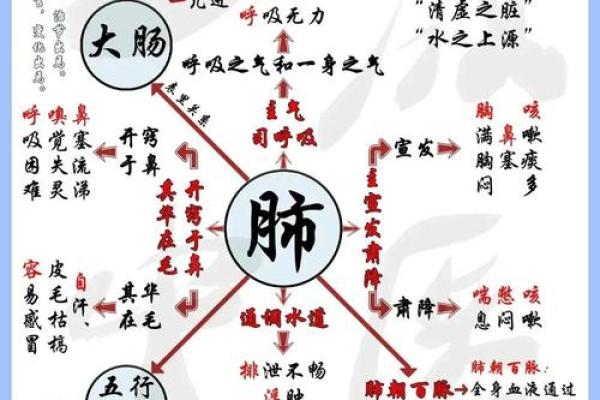 家居风水与五脏六腑，揭秘健康生活新密码