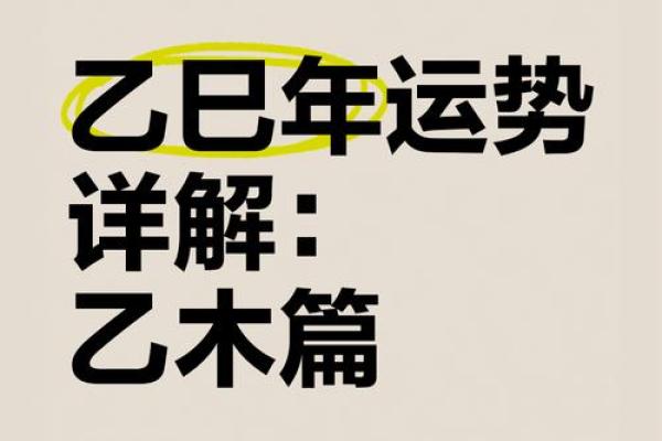 乙五行属什么，如何理解乙木的特性