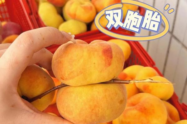 仙界繁华，共庆蟠桃盛宴