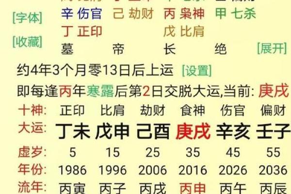男命八字地支藏妻星，揭秘你的命中佳人运势