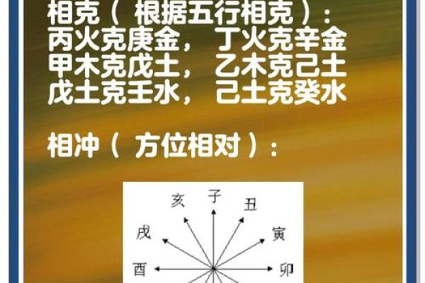 一文读懂：天干地支五行之间的和谐与冲突