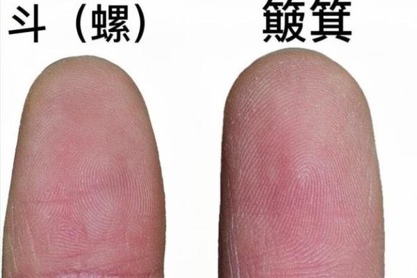 手相斗纹解析：掌握人生运势的神奇法则