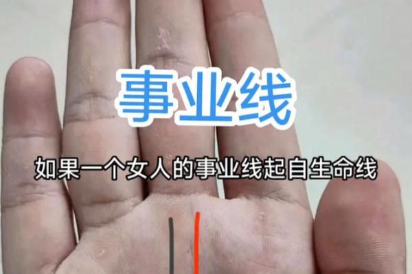 成就与魅力并存：一探事业女性的手相奥秘