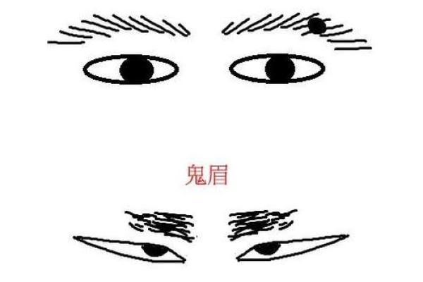 面相揭秘：探寻命运之窗的微妙线索