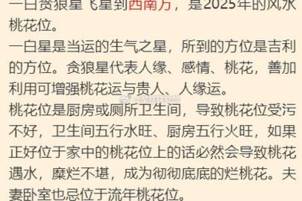 蛇年风水布局攻略：让你的家财运亨通