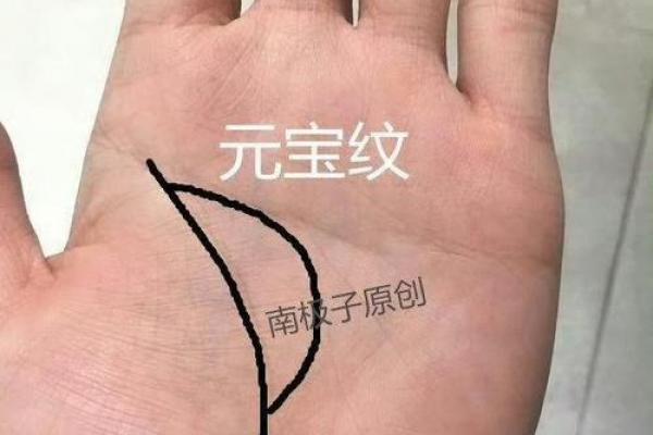 豹纹手相大揭秘：掌握命运，开启成功之门