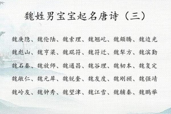 魏氏男宝宝起名宝典