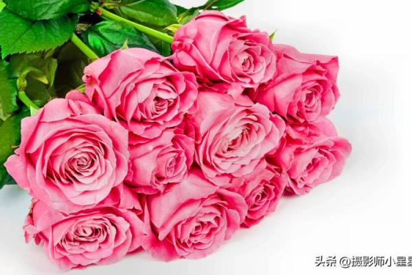 色彩斑斓的花语传情：盘点我国送花节日风情