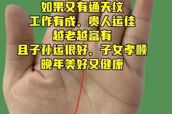 揭秘手相男：揭秘男性命运的秘密密码