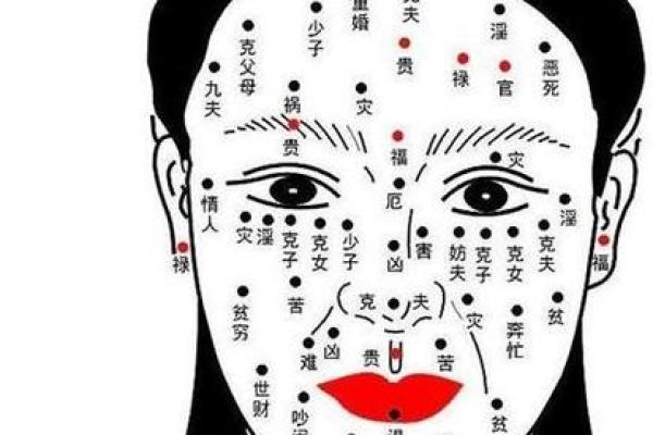 北面南相：揭秘南北差异背后的面相奥秘