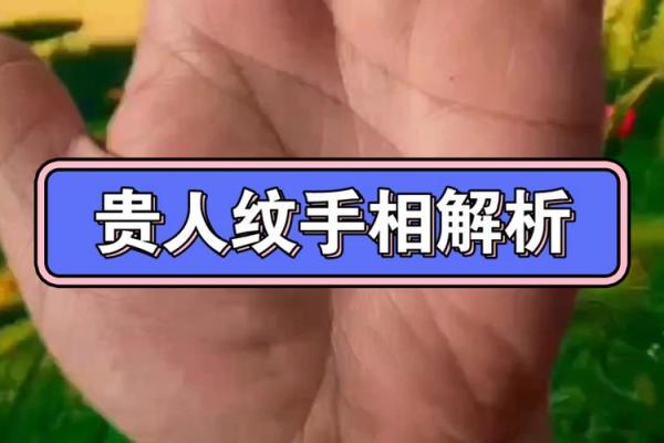 手相揭秘：看掌纹识命运，谁是你的人生贵人？